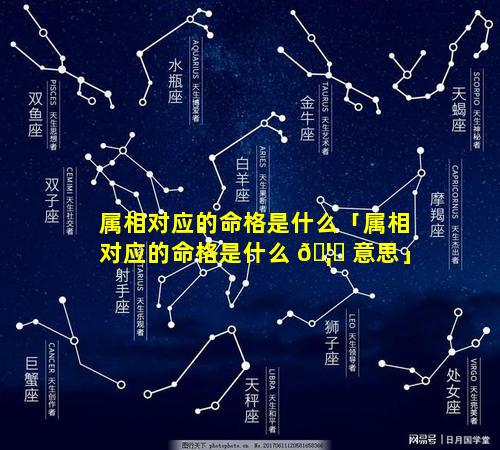 属相对应的命格是什么「属相对应的命格是什么 🦁 意思」